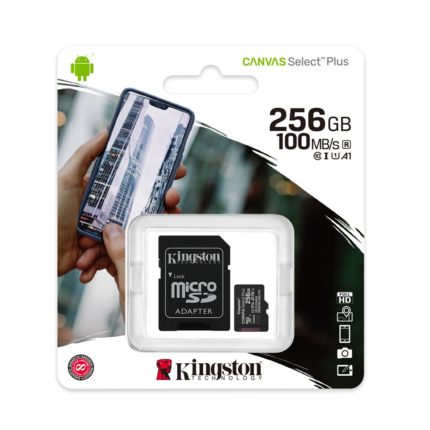 Micro Sd Kingston 256Gb Clase 10 (0004)