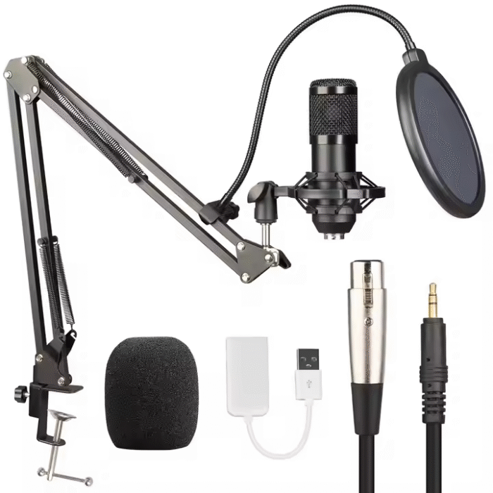 Microfono Profesional Condensador Bm800 (0654) - Imagen 1